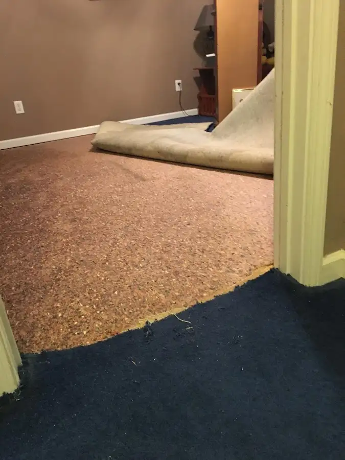 Carpet pad removal revealing water damage during Drying & Dehumidification in Sand Lake