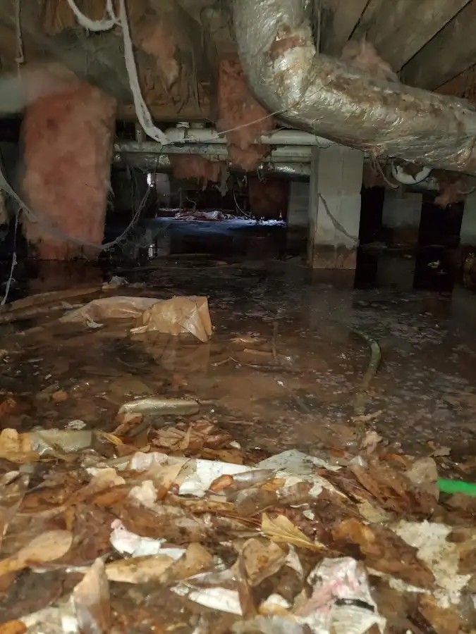 Crawl space flood assessment for Leak Detection & Repair in Sand Lake