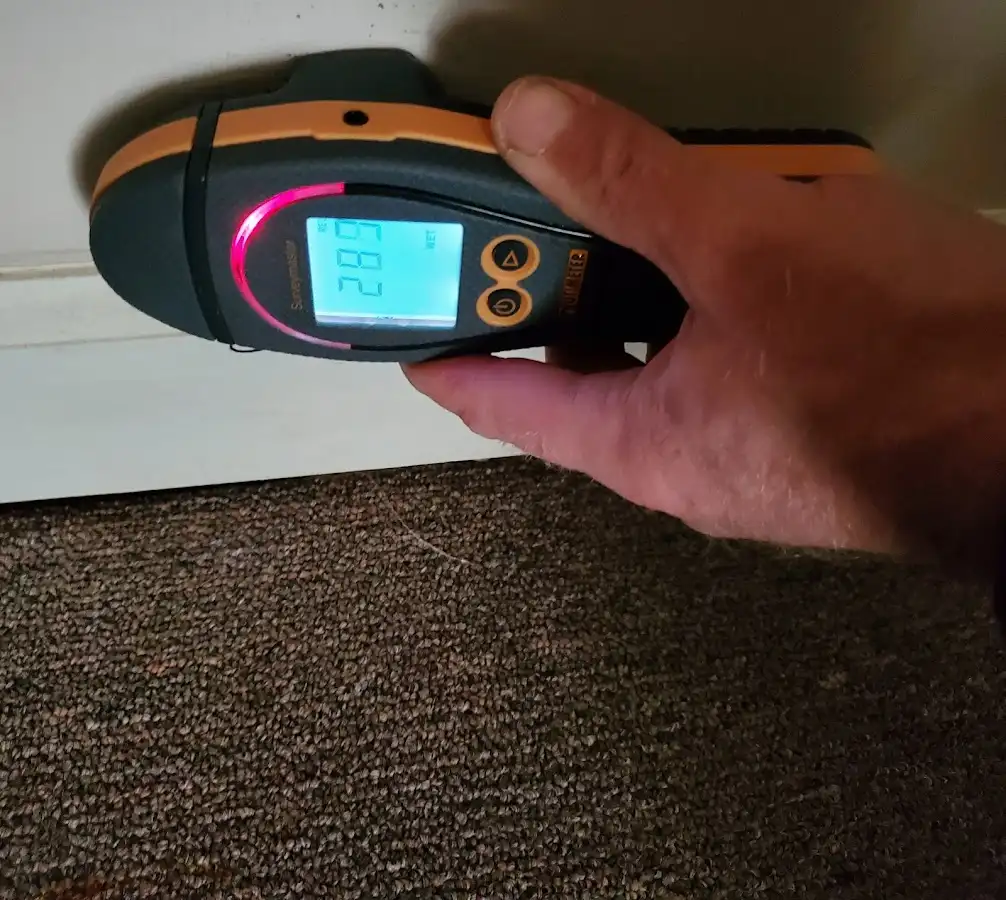 Moisture detection at baseboard during Burst Pipe Cleanup in Sand Lake