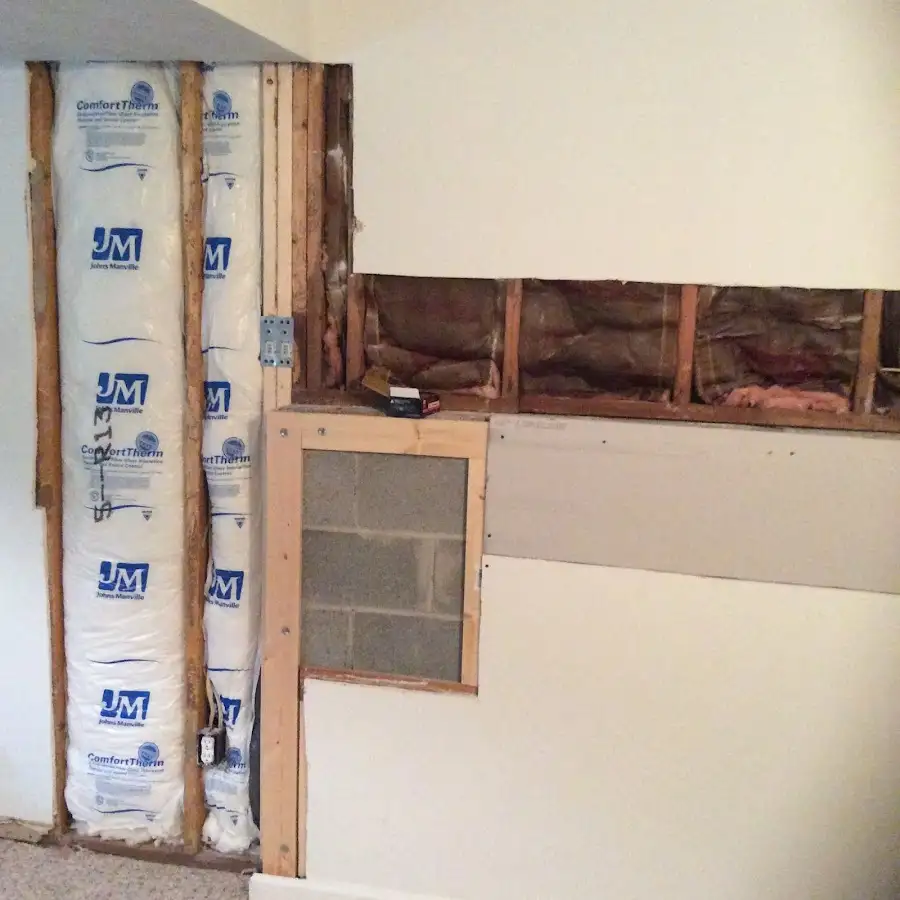 Wall insulation replacement during Odor Removal & Deodorization in Sand Lake